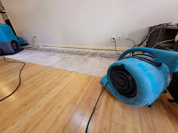 Professional Basement Flood Cleanup technician working in Grand Blanc, MI